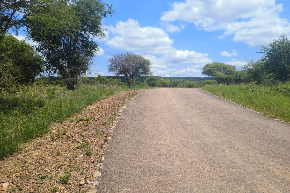 A view of a paved access road leading through a natural, undeveloped residential landscape with surrounding trees and vegetation.