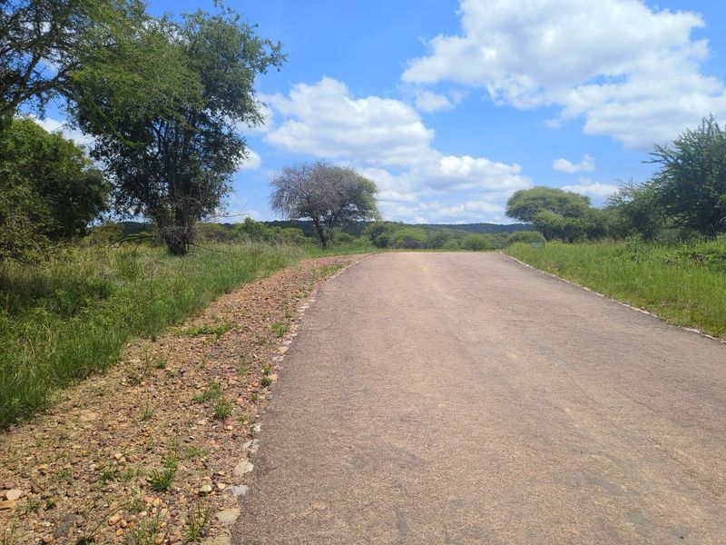 A view of a paved access road leading through a natural, undeveloped residential landscape with surrounding trees and vegetation.