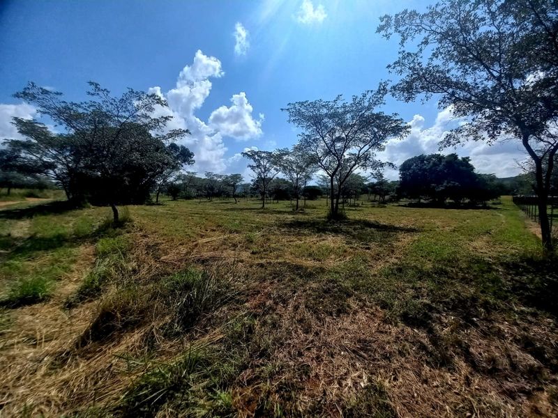 A view of a vacant residential plot featuring established trees and natural grassland under a clear blue sky.