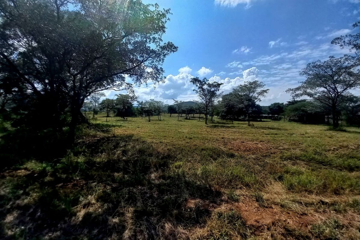 A wide-angle view of a vacant residential plot featuring natural grassland and mature trees under a clear blue sky.