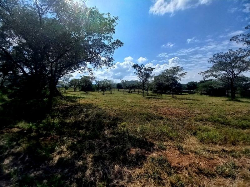 A wide-angle view of a vacant residential plot featuring natural grassland and mature trees under a clear blue sky.