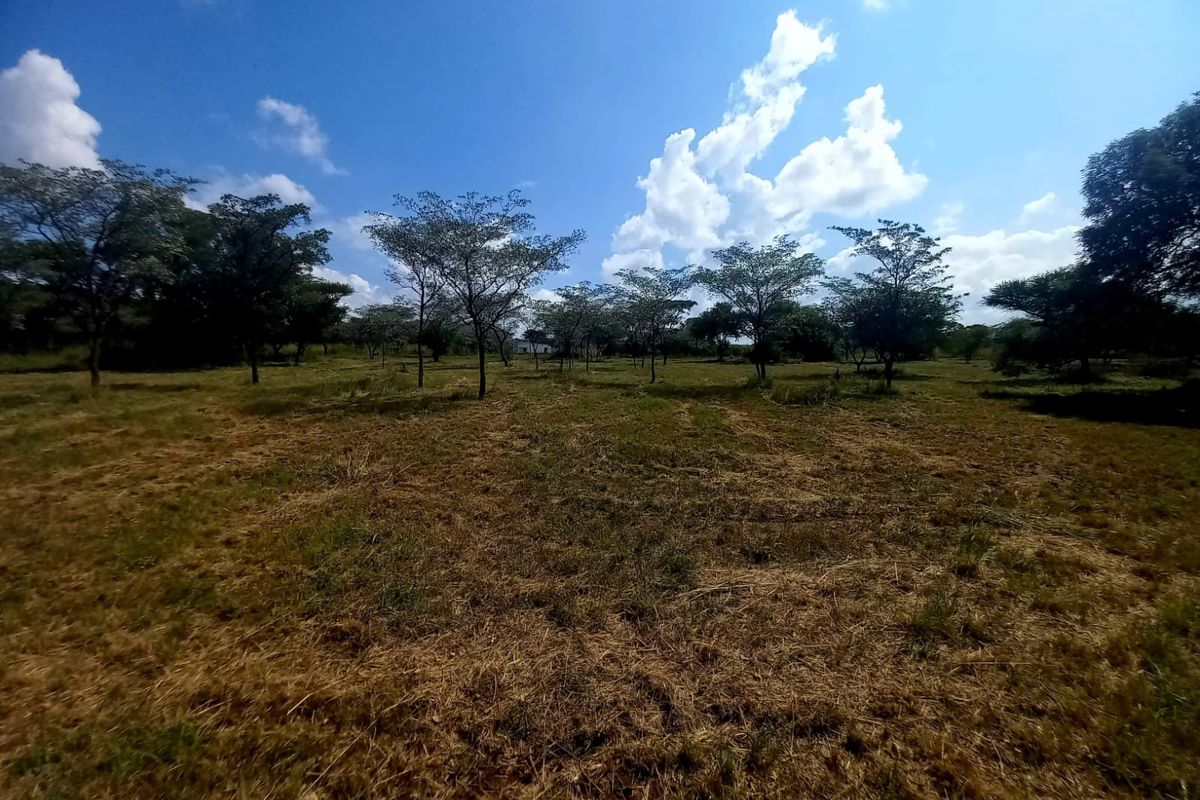 A wide-angle view of a vacant residential plot featuring natural grassland and scattered mature trees under a clear blue sky.