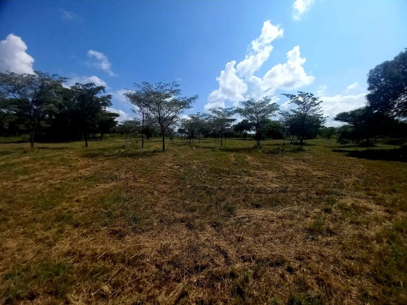 A wide-angle view of a vacant residential plot featuring natural grassland and scattered mature trees under a clear blue sky.