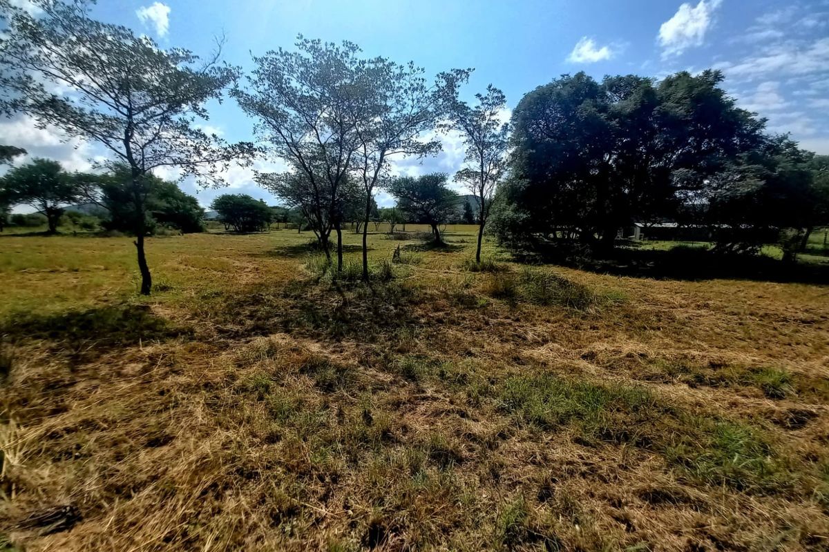 A wide-angle view of a vacant residential plot featuring established trees and natural grassland terrain.