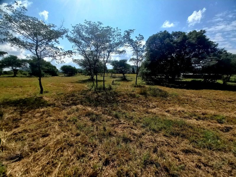 A wide-angle view of a vacant residential plot featuring established trees and natural grassland terrain.
