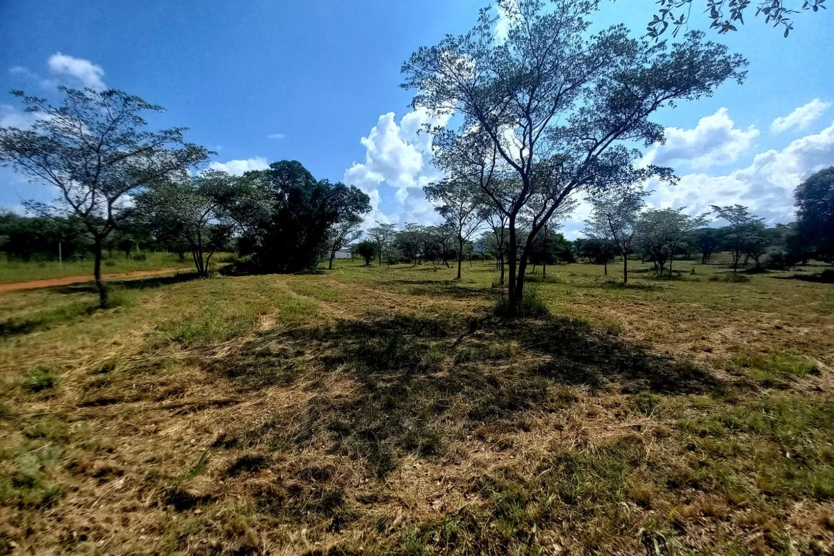 A wide-angle view of a vacant residential plot featuring established trees and natural grassland under a clear blue sky.