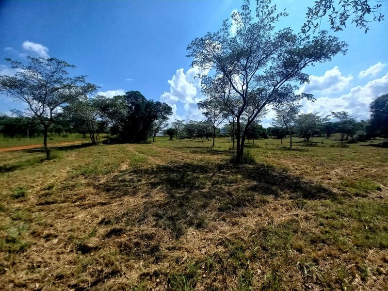 A wide-angle view of a vacant residential plot featuring established trees and natural grassland under a clear blue sky.