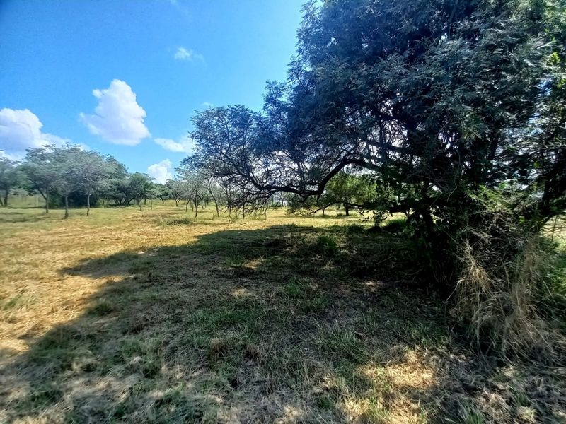 A view of the vacant residential land featuring mature trees and natural grass coverage.