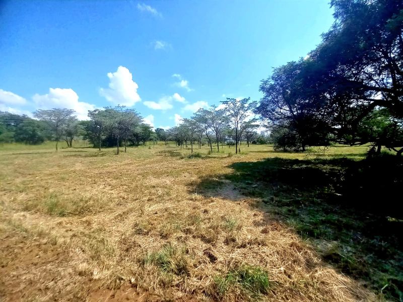A wide-angle view of a vacant residential plot featuring natural grassland and mature trees under a clear blue sky.