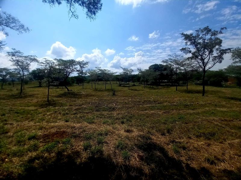 A wide-angle view of a vacant residential plot featuring natural grassland and scattered mature trees under a clear blue sky.