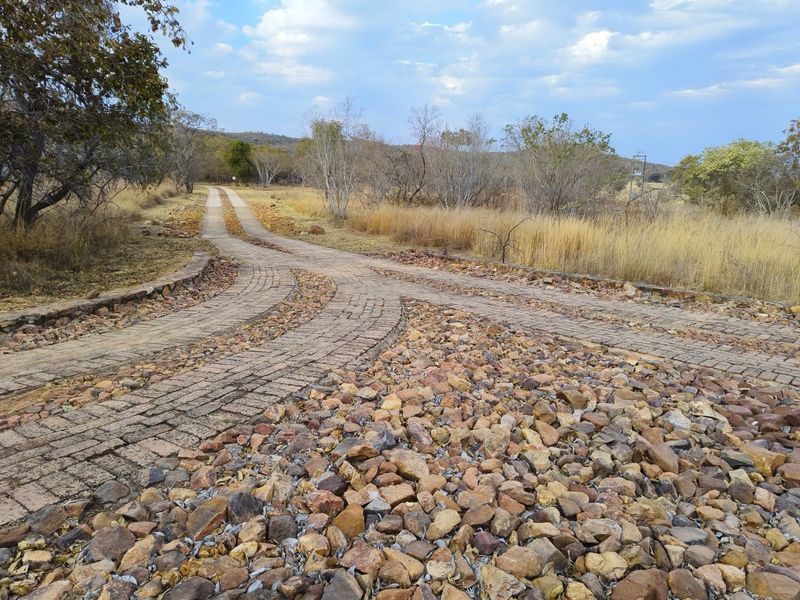 A paved driveway leading into a vacant residential plot, featuring stone retaining walls and natural bushveld landscaping.