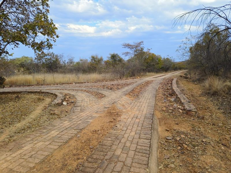 A view of a paved driveway intersection on a vacant residential plot, featuring stone retaining walls and surrounding natural bushveld vegetation.