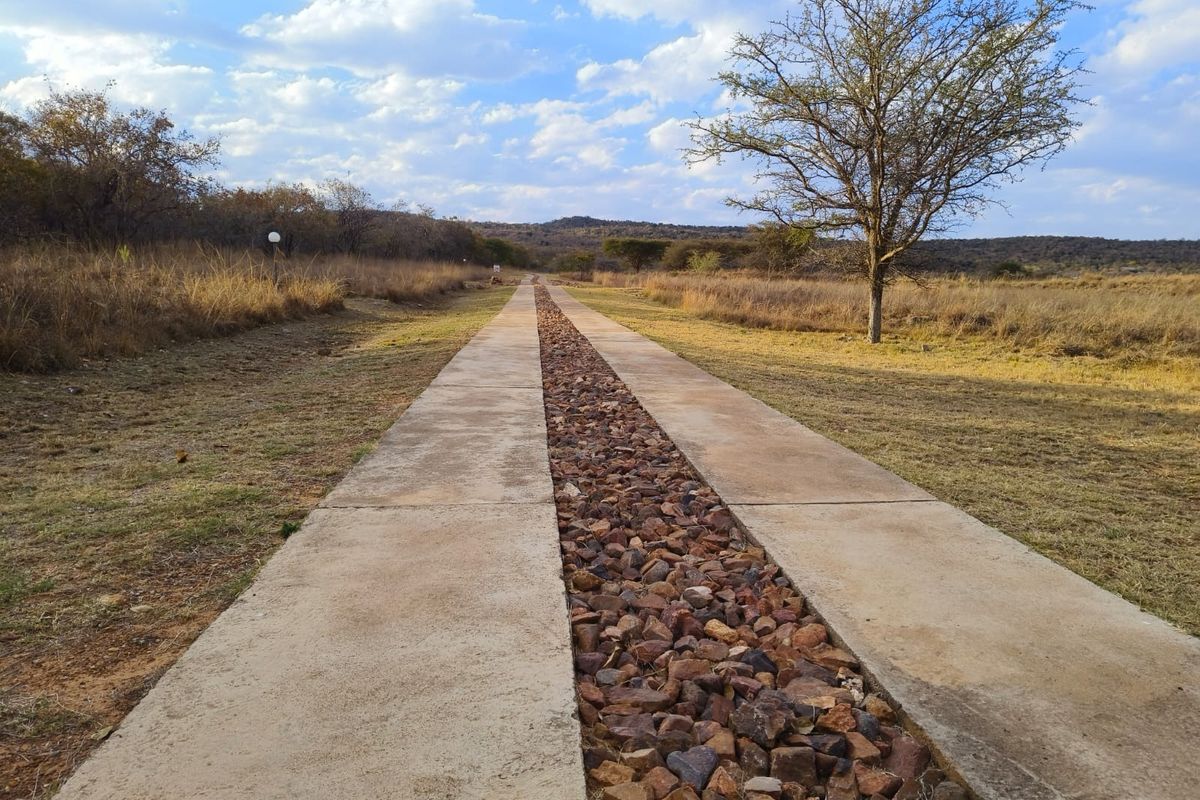 A well-maintained concrete driveway featuring a central stone drainage channel, leading through a natural, open residential landscape.