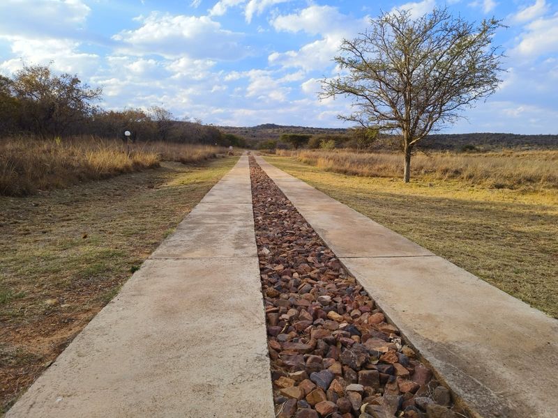 A well-maintained concrete driveway featuring a central stone drainage channel, leading through a natural, open residential landscape.