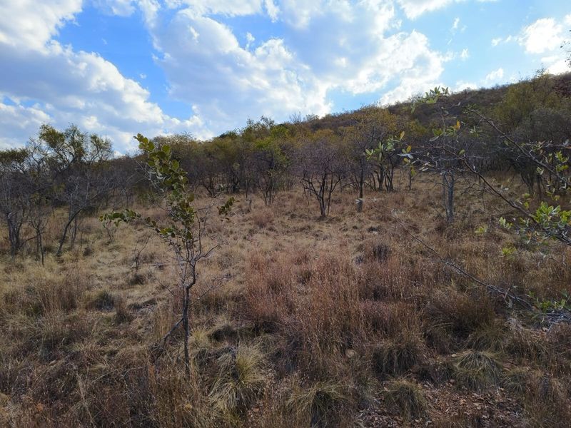 A view of the natural, undeveloped sloped terrain featuring native trees and dry grass on this vacant residential land.