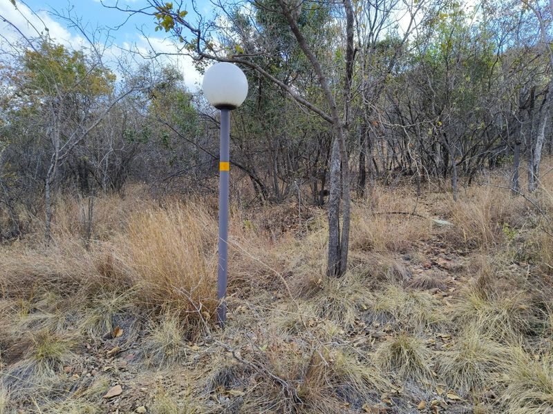 A view of a vacant residential plot featuring natural vegetation and a single standing outdoor light fixture.