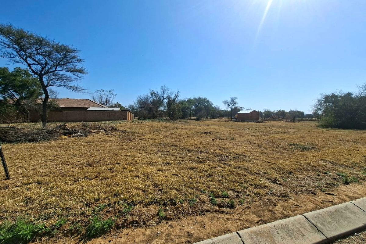 A wide-angle view of a vacant residential plot featuring dry grass, mature trees, and a boundary wall, viewed from the street level.