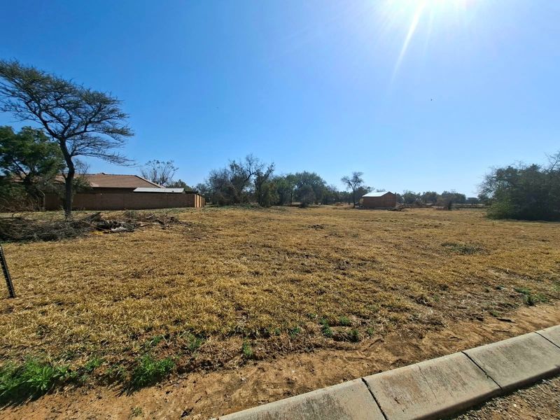 A wide-angle view of a vacant residential plot featuring dry grass, mature trees, and a boundary wall, viewed from the street level.