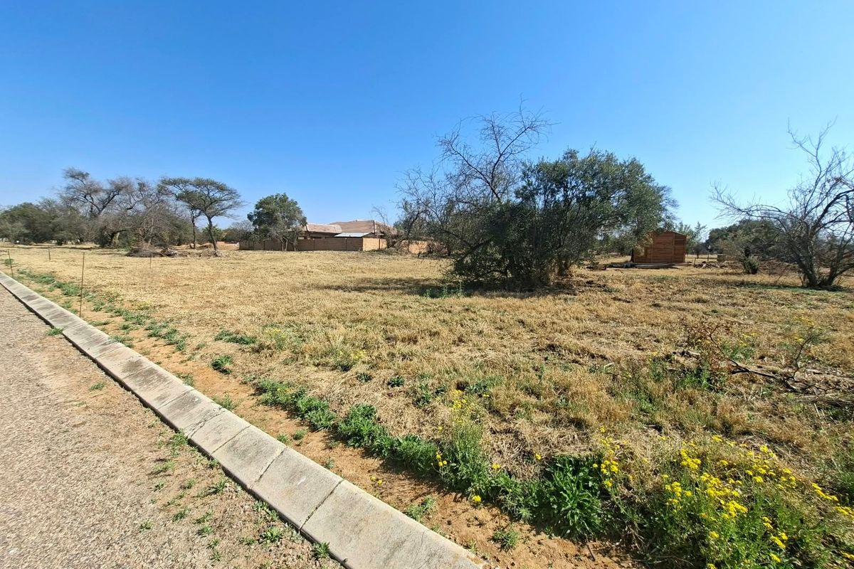 A vacant residential plot featuring a concrete curb, asphalt road frontage, and natural vegetation, offering a clear space for future development.
