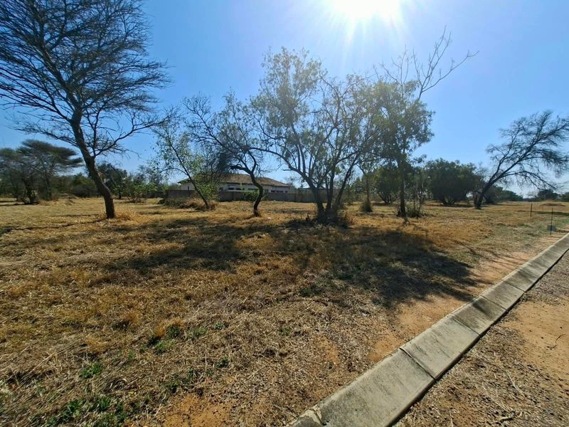 A view of a vacant residential plot featuring dry grass, mature trees, and a concrete curb along the road edge.