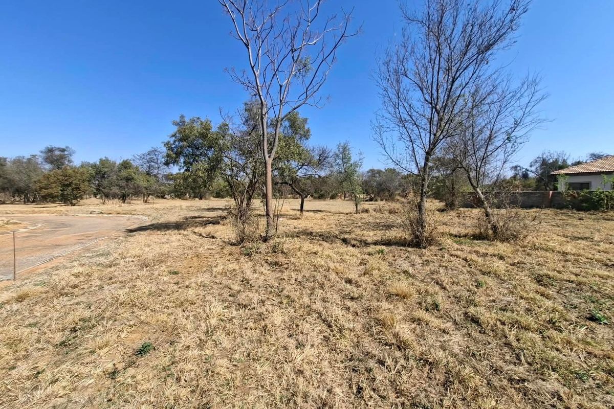 A vacant residential plot featuring dry grass and mature trees, situated with direct access to a paved road.