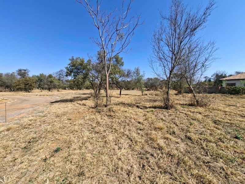 A vacant residential plot featuring dry grass and mature trees, situated with direct access to a paved road.
