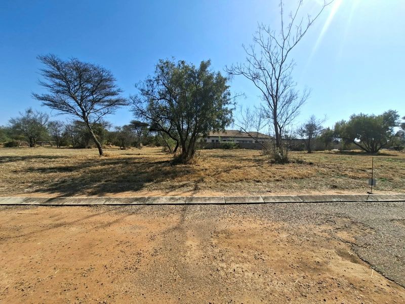 A view of a vacant residential plot featuring established trees, concrete curbing, and direct road access.