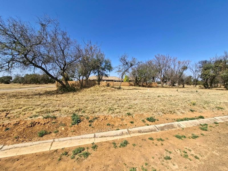 A vacant residential plot featuring dry grass, mature trees, a concrete curb, and a boundary wall in the background.