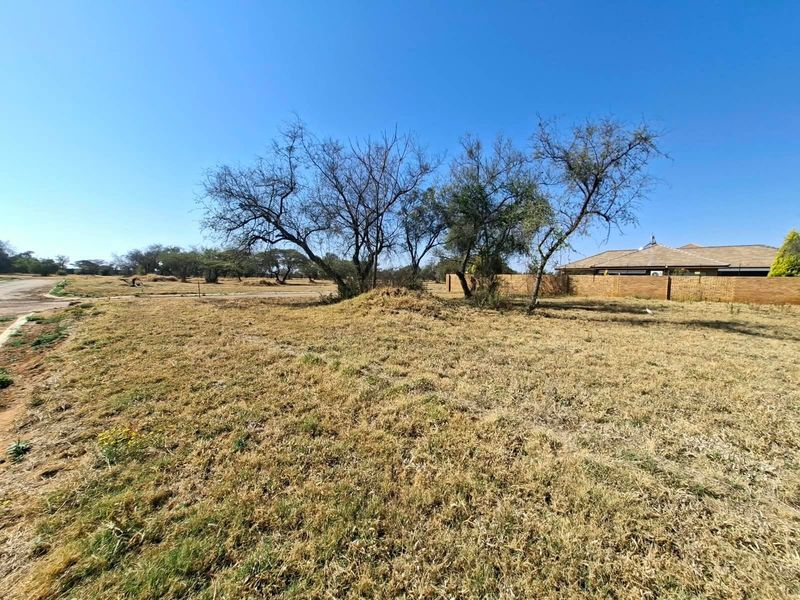 A vacant residential plot featuring dry grass, mature trees, and a partial boundary wall, offering a blank canvas for future development.