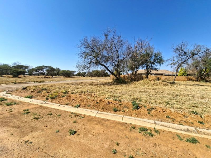 A vacant residential plot featuring established trees, natural grass, and concrete curbing along the street boundary.
