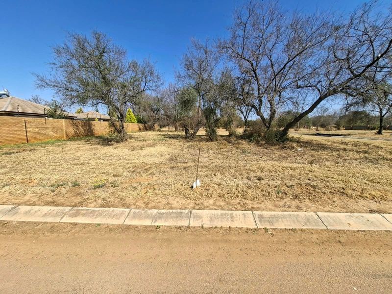 A vacant residential plot featuring established trees, a boundary wall, and direct street access, ready for development.