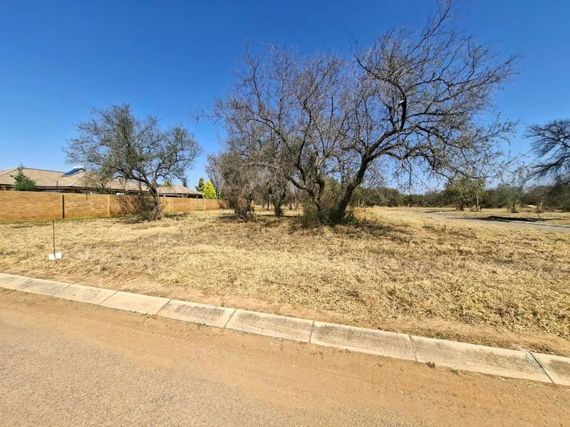 A vacant residential plot featuring established trees, concrete kerbing, and a perimeter boundary wall, offering a clear space for future development.