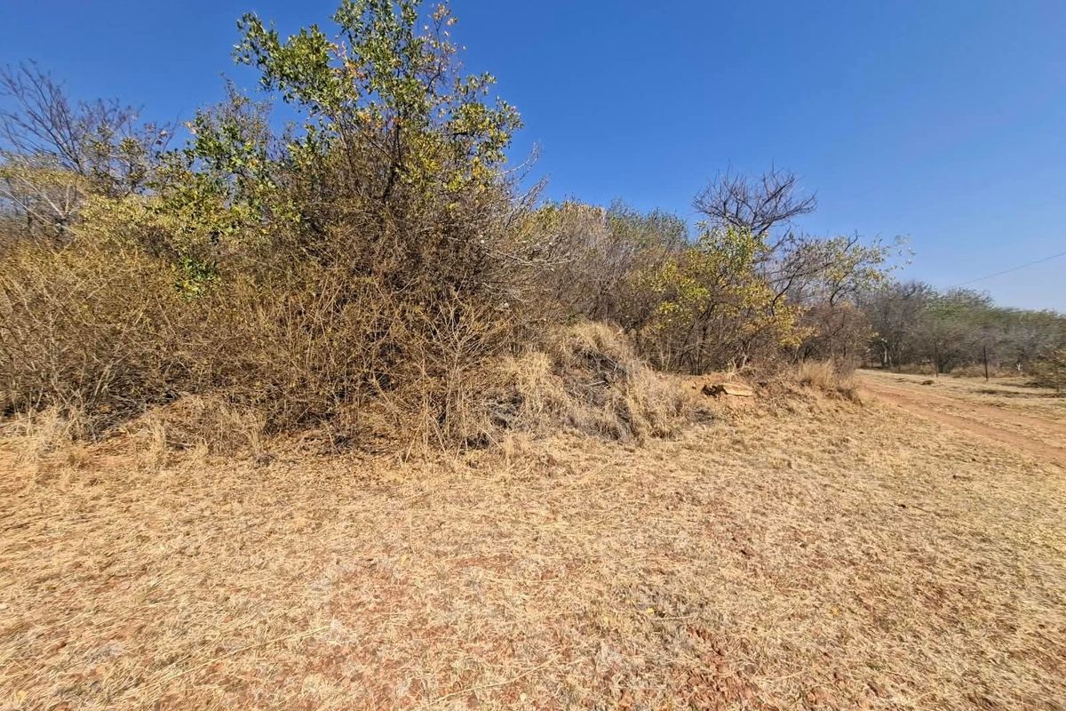 A view of the vacant residential land featuring natural dry grass and native bushveld vegetation.