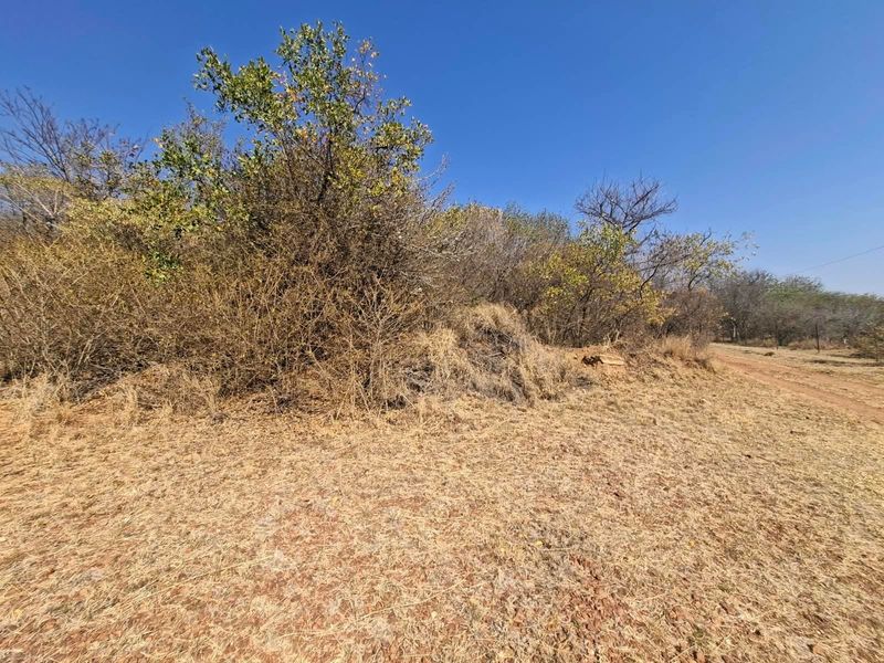 A view of the vacant residential land featuring natural dry grass and native bushveld vegetation.