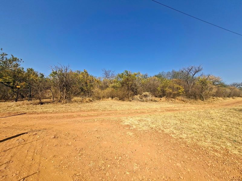 A view of a vacant residential plot featuring natural vegetation, dirt access road, and perimeter fencing.
