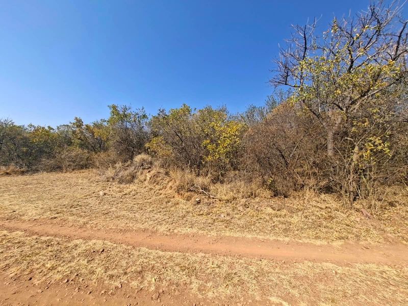 A view of the vacant residential land featuring natural vegetation and a dirt access track.