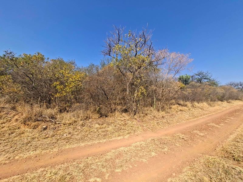 A view of a dirt access road bordering a plot of undeveloped land with native trees and shrubs.