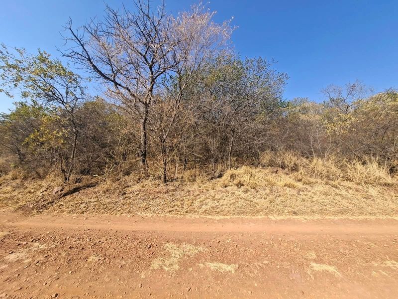 A view of the vacant residential land featuring natural vegetation and trees, accessible via an unpaved dirt road.