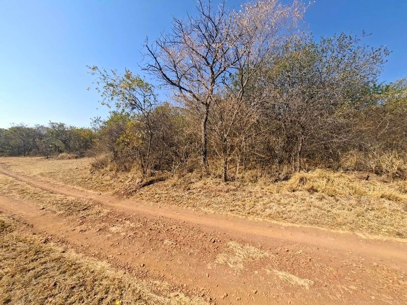 A view of the vacant residential land featuring natural vegetation and a dirt access track.