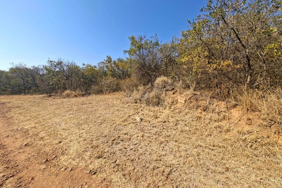 A view of the vacant residential land featuring natural dry grass and established native trees and shrubs.