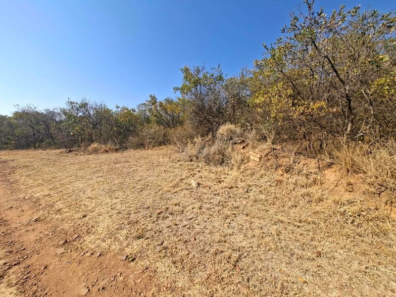 A view of the vacant residential land featuring natural dry grass and established native trees and shrubs.