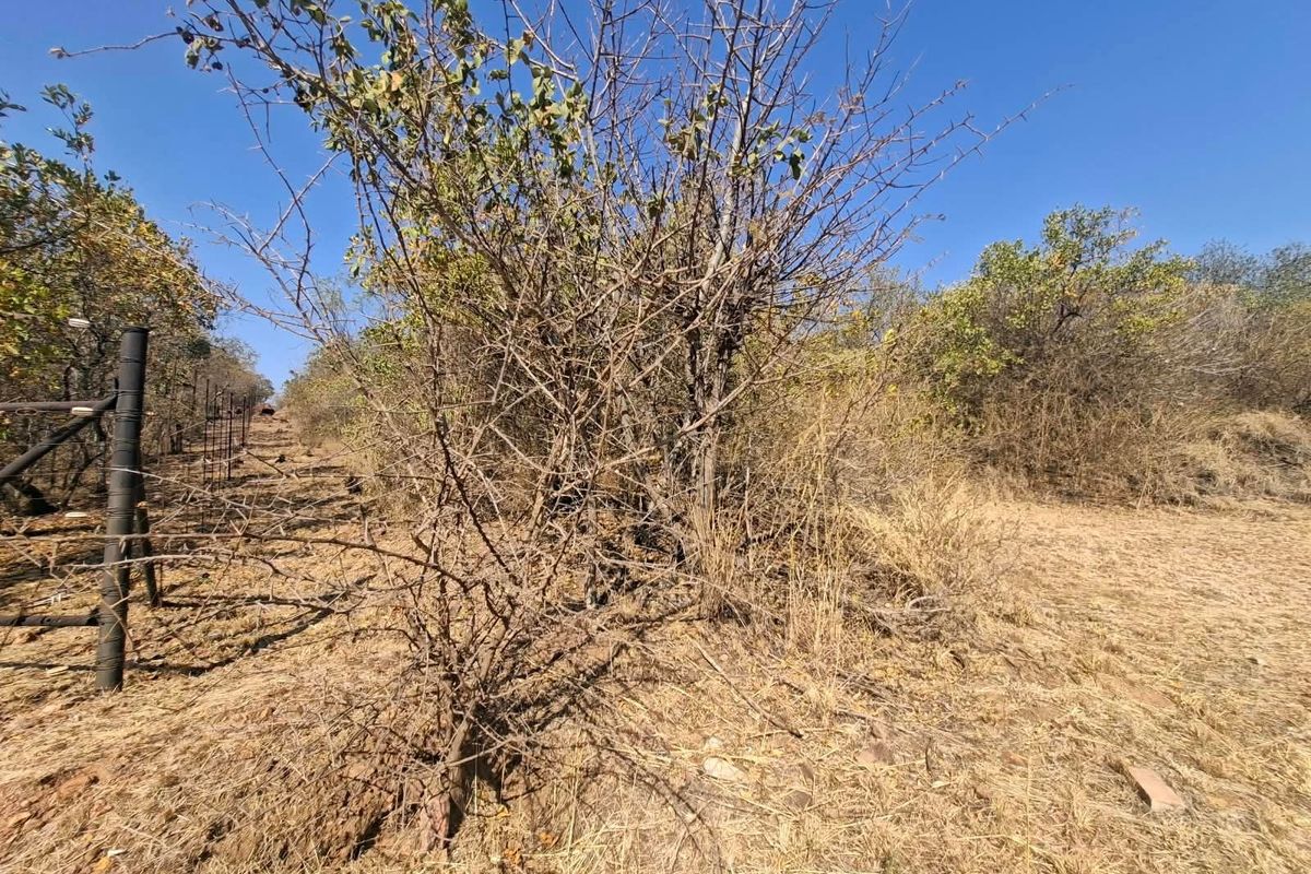 A view of the vacant residential land featuring natural vegetation, dry grass, and existing wire perimeter fencing.