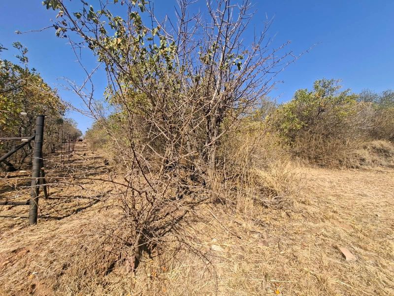 A view of the vacant residential land featuring natural vegetation, dry grass, and existing wire perimeter fencing.