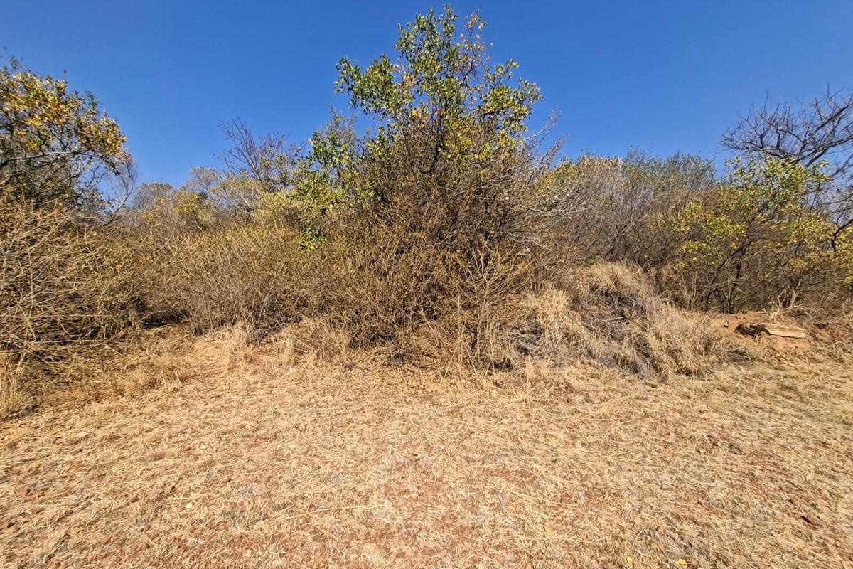 A view of the vacant residential land featuring natural vegetation and cleared ground, suitable for future development.