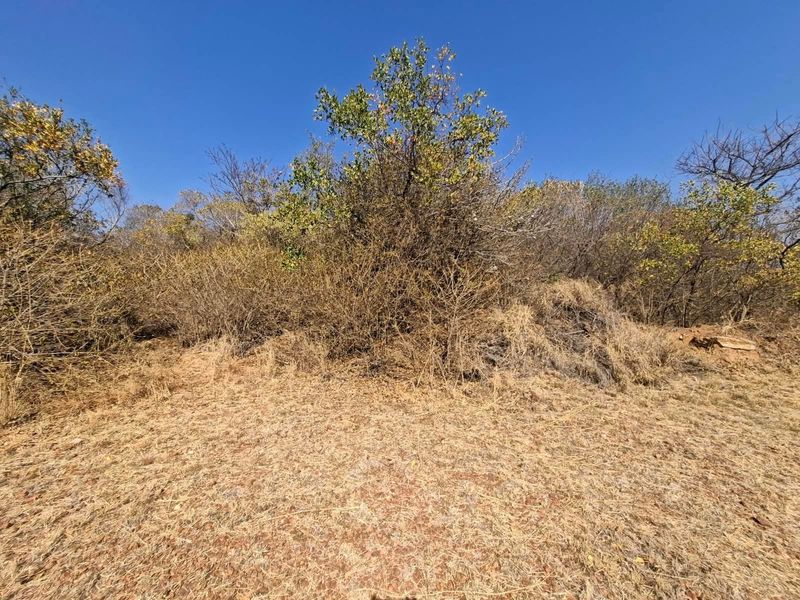 A view of the vacant residential land featuring natural vegetation and cleared ground, suitable for future development.