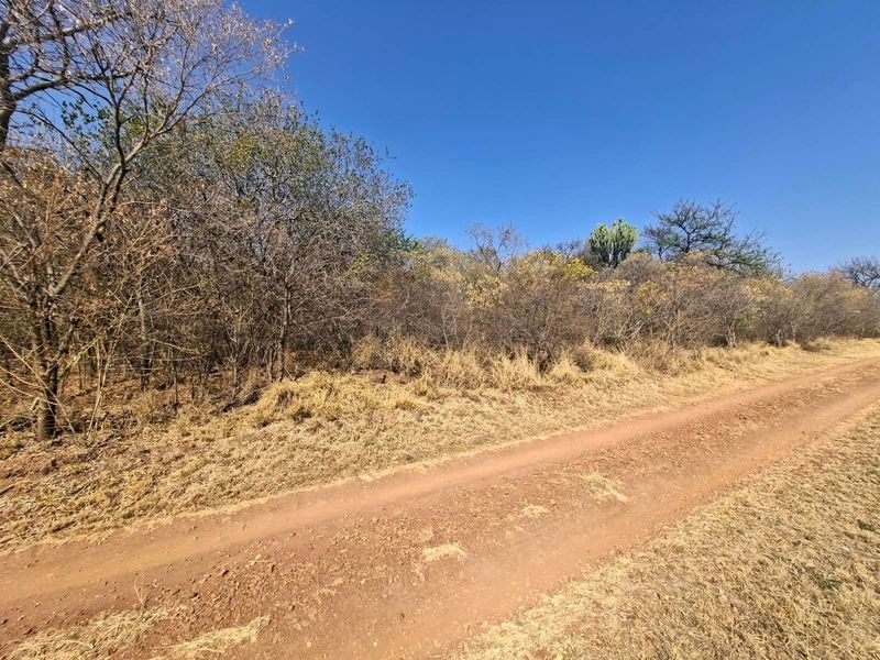 A view of a vacant residential plot featuring a dirt access road and natural indigenous vegetation under a clear blue sky.