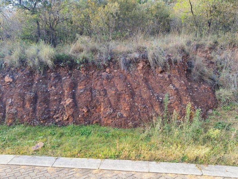 A view of the property frontage showing a paved verge adjacent to an exposed, un-retained earth bank and natural vegetation.