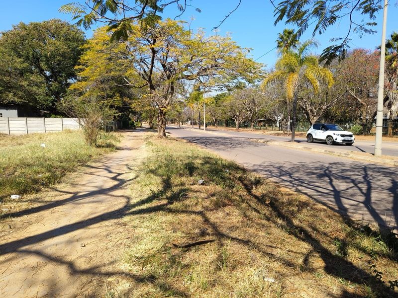 A view of the street frontage showing the paved road, mature trees, and existing boundary wall on the residential property.