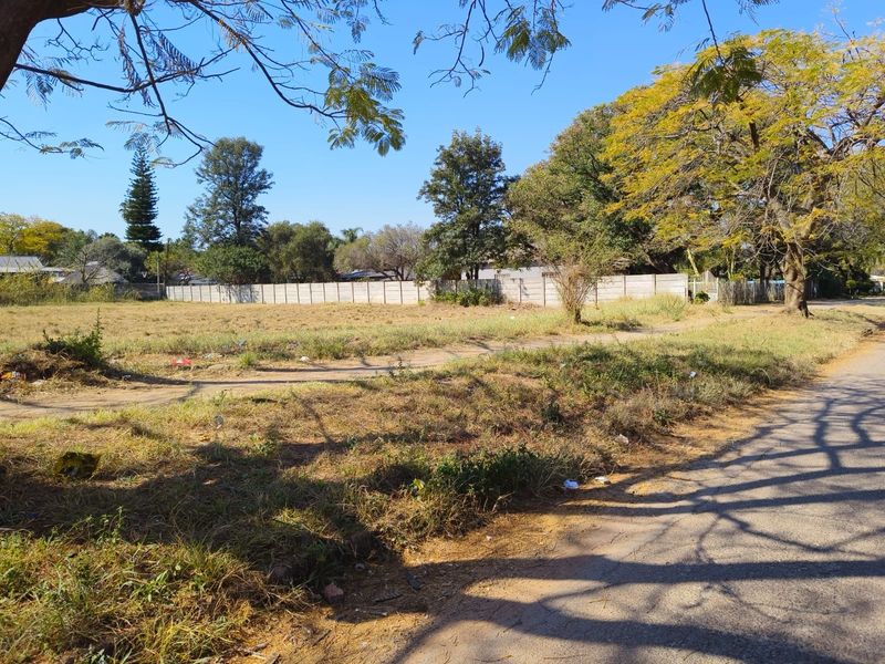 A street-level view of a vacant residential plot featuring mature trees and a precast concrete boundary wall along the perimeter.
