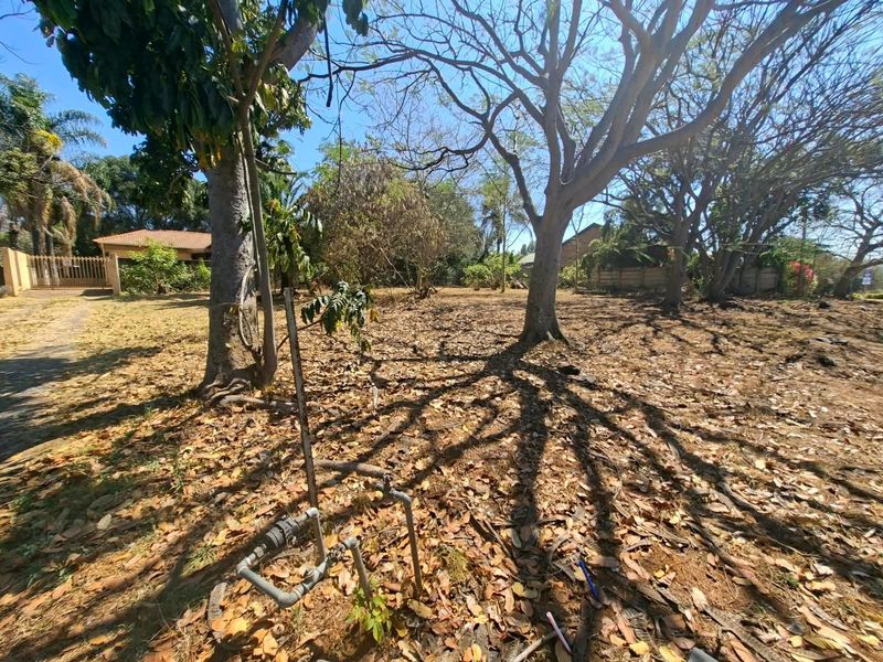 A vacant residential plot featuring mature trees, established boundary walls, and an existing water connection point, offering a blank canvas for development.